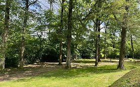 Au cœur des Bois